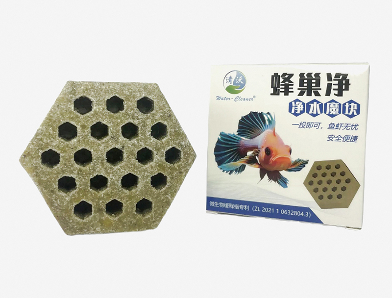 湛江菌方